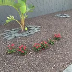 Lägenhet Residencial Geranios 13 *
