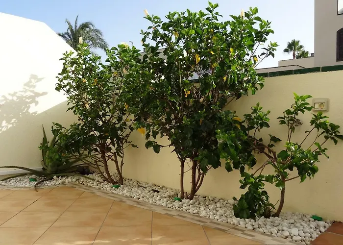Апартаменты Residencial Geranios 13 *